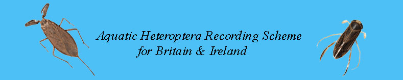 Aquatic Heteroptera Recording Scheme logo