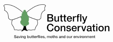 Butterflies for the New Millennium logo