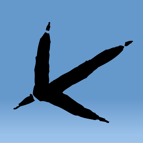 BirdTrack logo