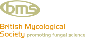 British Mycological Society logo